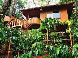 Planet Green Plantation Resorts, Wayanad, Kerala