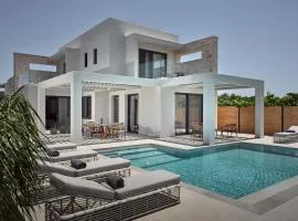 Anthis Luxury Villas - A Haven of Serene Modern Elegance, by ZanteWize