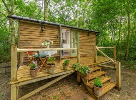 Woodland Retreat Shepherd's Hut、Brundishのコテージ