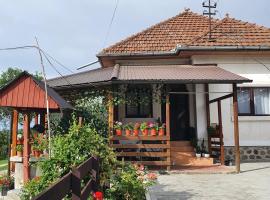 Cazare la fermă, hotel with pools in Galeşu