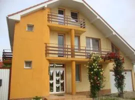 CASA ICA