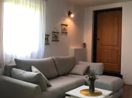 Apartman Jovana