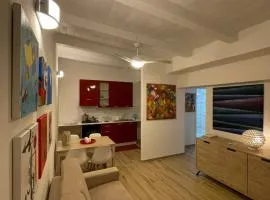 Surfinia’s home