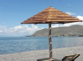 Hotel Today , Խաղաղության լողափ