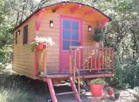 Roulotte romantique avec piscine en Cévennes