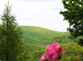 Lili's Lovely Log Home in the Forest, casă de vacanță din Bükkszentkereszt