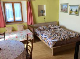 Appartement Style Rustique, Hotel in Urbès