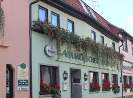 Ammerscher Bahnhof, hotel in Mühlhausen