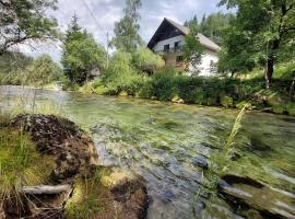 The RiverSide Chill Hostel, nakvynės namai mieste Zgornje Gorje