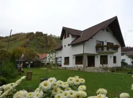 Bucuria Muntelui
