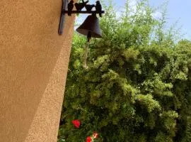 il passero
