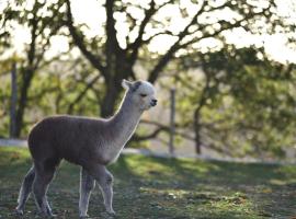 Agriturismo Il Beccafico Alpaca, hotel in Mengara