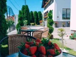 Pensiunea Casa Andreea - Bârsana Maramureș