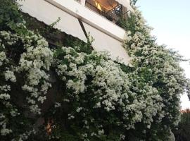 Captain's Rooms, hotel pro pobyt s domácími mazlíčky v destinaci Aegina