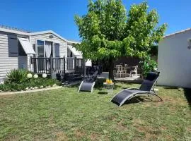 Mobil'home à Dolus-d'Oléron (17) avec terrasse, cuisine d'été et proche plages - 4 couchages - FR-1-246A-120