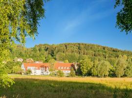 Landhotel Alte Mühle, cheap hotel in Ostrach