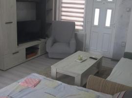 Apartman LJILJANA BELA CRKVA, hotel in Bela Crkva