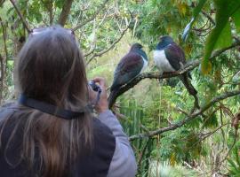 Wharepuke Subtropical Accommodation, vacation home in Kerikeri