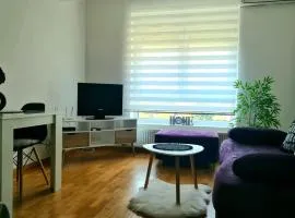 KRALj Studio