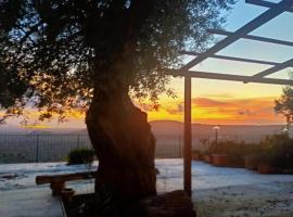 Il colle degli ulivi, bed and breakfast en San Calogero