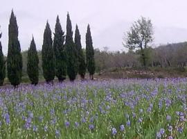 Agrifarm La Corte Apartment, hotel per famiglie a Villa Bensi