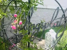 Wohlfühl-Appartement Kreischberg inclusive Murau SommerGästeCard
