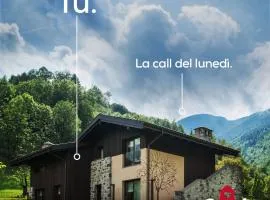 Quader nidi nel verde