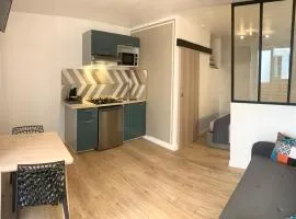 Appartement avec terrasse au cœur de Carcassonne - Serviettes Draps Ménage inclus