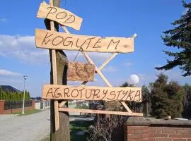 Agroturystyka Pod Kogutem