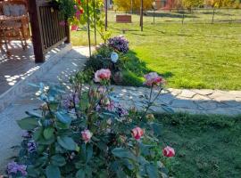 Apartmani Petar, apartment in Mokra Gora