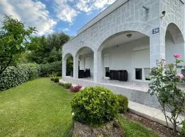 Montesun Holiday Novak Home