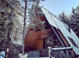Forest House Stella - A frame cabin, hotel i Mrkopalj