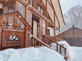 ROSSI STAR, hôtel à Hakuba près de : Tsugaike Nature Park