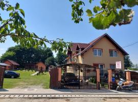 Pensiunea Sonia, hotel v destinaci Cîrţişoara