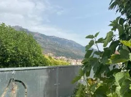 Maison à Corte (Centre Corse) avec piscine et jardin