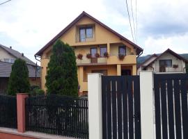 Pensiunea Popan, guest house in Şieu