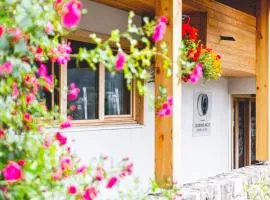 Le Grand Aigle Hotel & Spa****