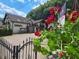 Penzi&oacute;n D&uacute;hov&yacute; Pstruh