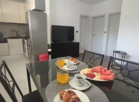 Apartment GOGO, free parking, self check-in