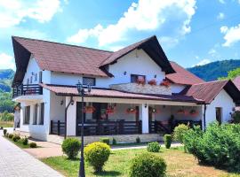 Pensiunea Sub Horiță, guest house in Leordina