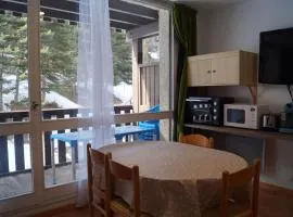 Studio cosy pour 4/5 pers. à Pra Loup 1500 - FR-1-165A-113