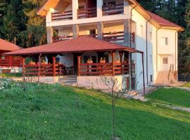 Pensiunea Mădălina, guest house in Durau