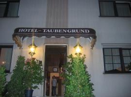 Airport-Hotel zum Taubengrund, hotel en Kelsterbach