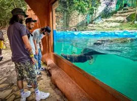 Hotel Boutique Refugio Llanero Centro Histórico