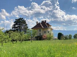 Vila Mir - Apartment、ベグニ・ナ・ゴレニスケムのホテル