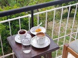 Vacation House Dionysia, hotel with parking in Aigio