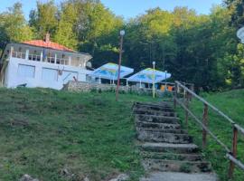 cerbu, hotel u gradu Bozovici