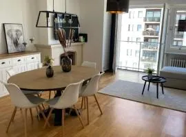 Appartement 303 place Léopold 1er à la panne à 100m de la plage
