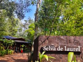 Selva de Laurel, hotel cerca de Aeropuerto de Foz do Iguaçu - IGU, Puerto Iguazú