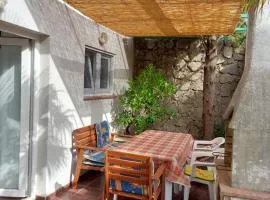 Apartment in Kornić near the beach